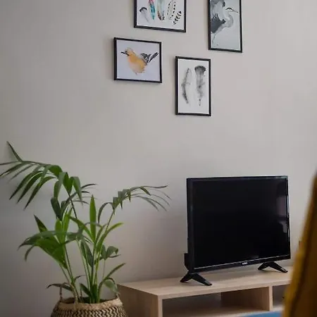 Apartament Peacock Studio
