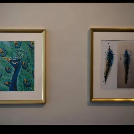 Διαμέρισμα Peacock Studio Κανόνι